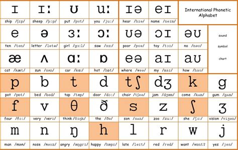 Ipa Symbols Chart With Examples - IMAGESEE