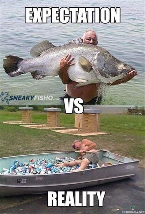 Funny Fish Memes