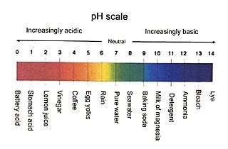 Ph Scale Examples