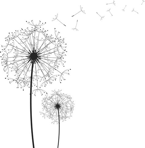 Dandelion Silhouette at GetDrawings | Free download