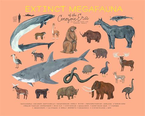 Extinct Megafauna of the Cenozoic Era | Etsy | Megafauna, Prehistoric ...