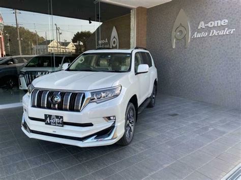 Discover 93+ about 2022 toyota prado super cool - in.daotaonec