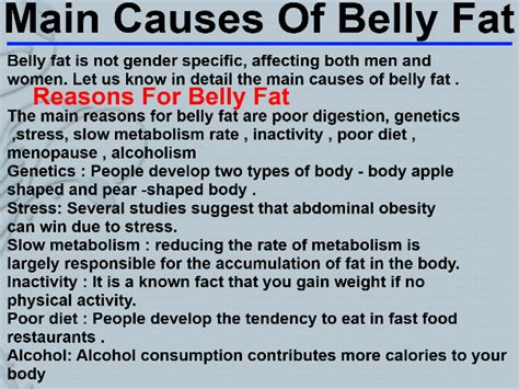 1 Best of whole: Main Causes Of Belly Fat