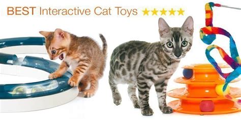 The 16 Best Interactive Cat Toys in 2022