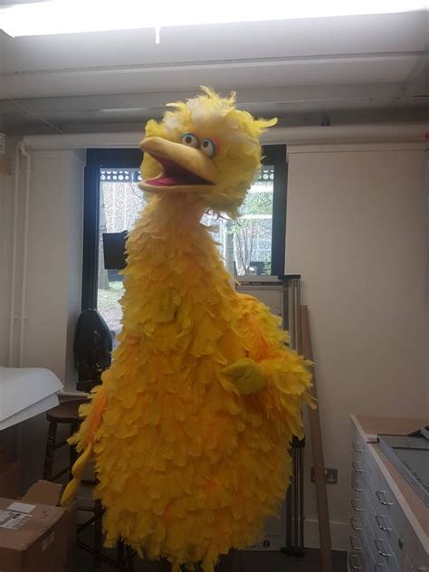 Big Bird Costume Puppet Replica | Page 2 | RPF Costume and Prop Maker ...