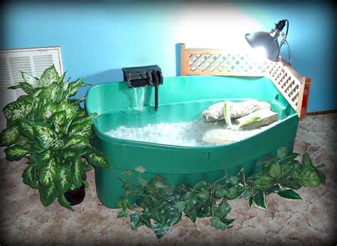 Indoor Turtle Pond 54 Gal- Initial Setup- a work in progress ...