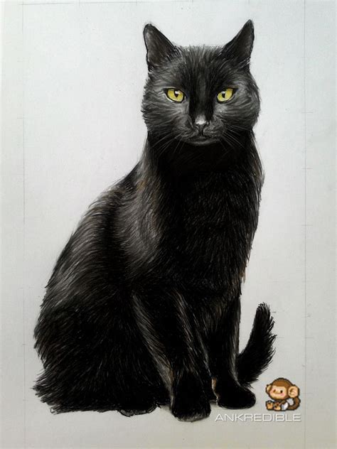 Cat (Color Pencil Drawing) by Ankredible on DeviantArt | Black cat ...