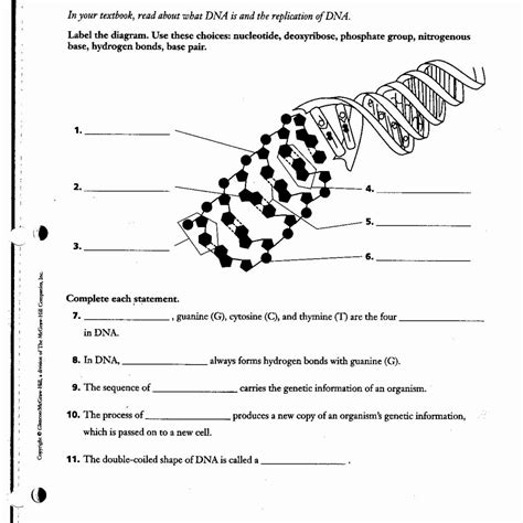 Label Dna Worksheets