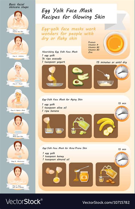 Egg yolk face mask recipes Royalty Free Vector Image