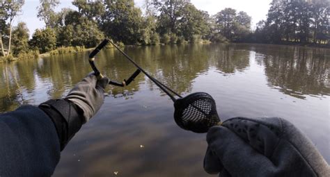 Carp fishing tips for beginners - tips & tactics - Improve Angling