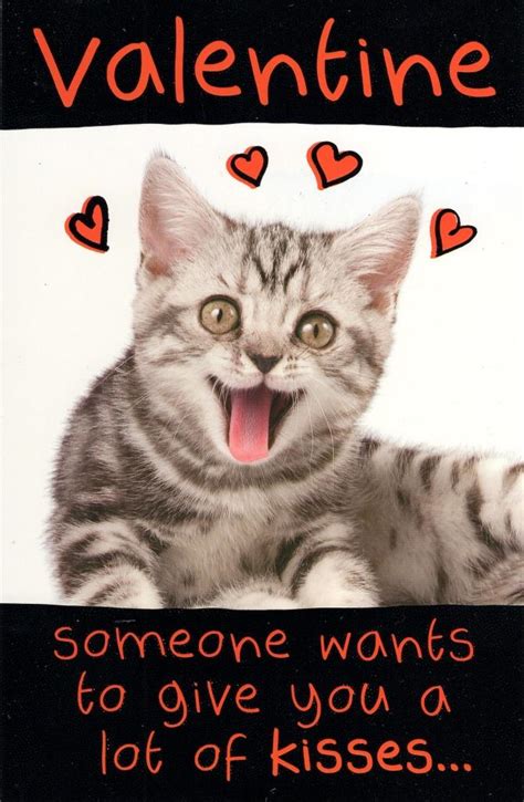 Funny Lots Of Kisses Kitten Valentine's Day Greeting Card | Cards ...