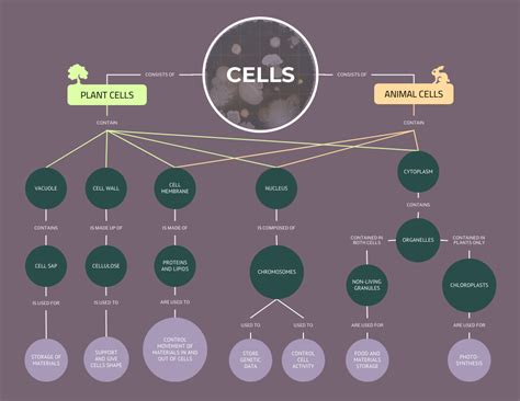 Cells Biology Concept Map Template - Venngage