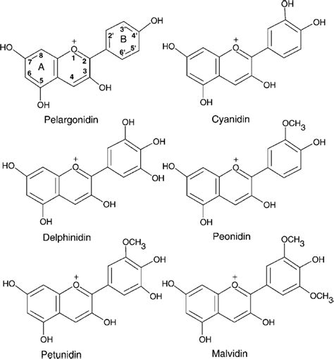 Some anthocyanidin structures. Naming of the A and B rings and ...