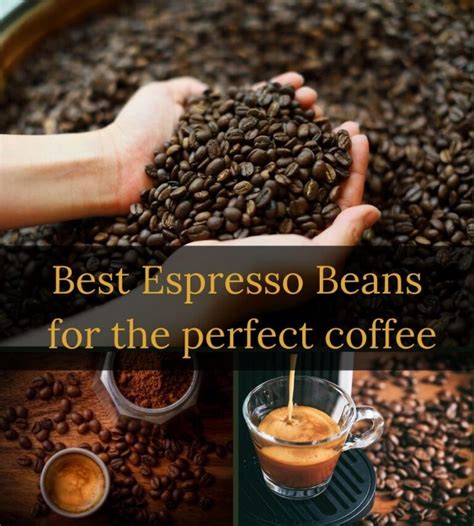 Elevate Your Coffee Game with the Best Espresso Beans in 2023