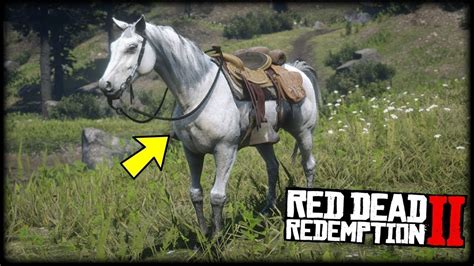 Red Dead Redemption 2 Online Arabian Horse *RDR2* - YouTube