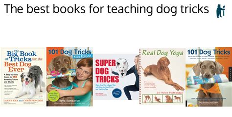 The best books for teaching dog tricks