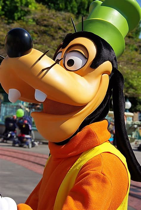 Goofy - Disneyland | Disneyland is a tough place because the… | Flickr