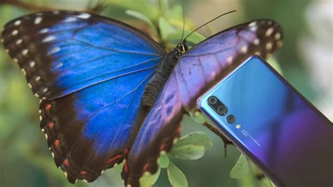 New Huawei P20 Pro colors are here and they look so good - GadgetMatch