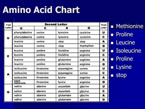 Trna Amino Acid Chart