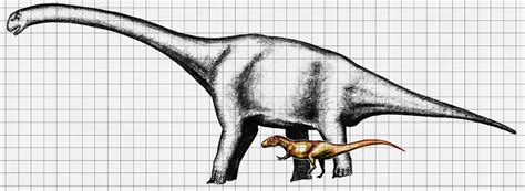 Aerosteon Pictures & Facts - The Dinosaur Database