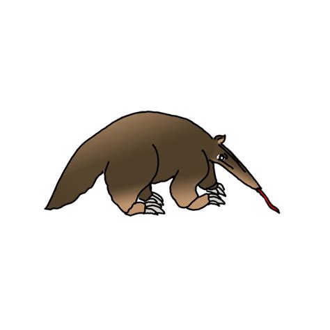 How to Draw a Giant Anteater - Step by Step Easy Drawing Guides ...