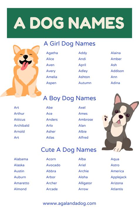 List of Dog Names That Start With A | Both Male & Female Name | Feliz ...