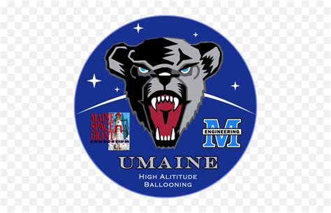 Umhab Twitter - Umaine Black Bears Png,Umaine Logo - free transparent ...