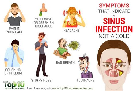 Symptoms that Indicate a Sinus Infection not a Cold | Top 10 Home Remedies