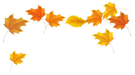 fall leaves clipart border 20 free Cliparts | Download images on ...