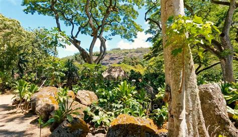 Waimea Valley Waterfall Swim Self-Guide Tour - The Hawaii Vacation Guide