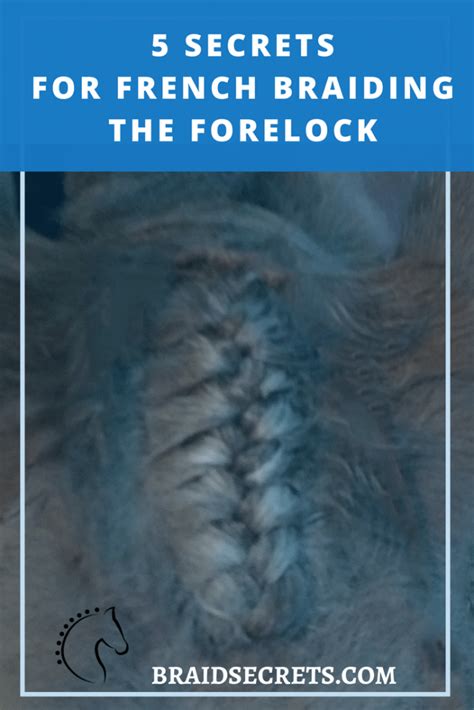 MANE BRAIDING TIPS: FIVE SECRETS FOR FRENCH BRAIDING THE FORELOCK ...