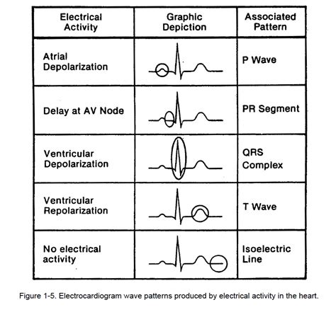 Figure 1-5. - Cardiac Rhythm Interpretation