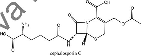 Chemical structure of cephalosporin C. | Download Scientific Diagram