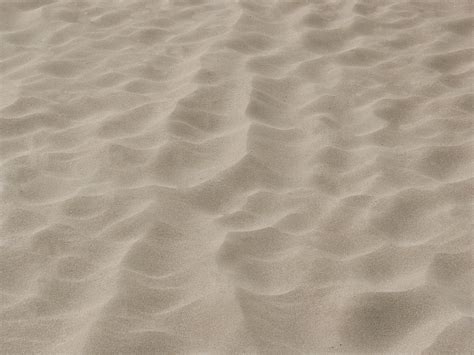 Free Sand texture Stock Photo - FreeImages.com