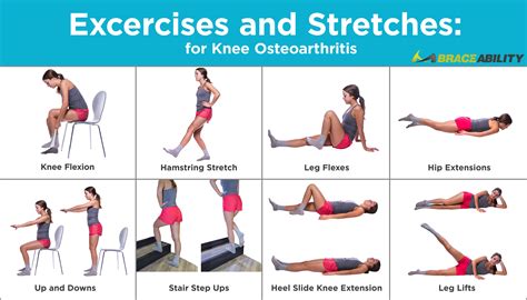 Knee Strengthening Exercises For Cartilage Damage – Online degrees