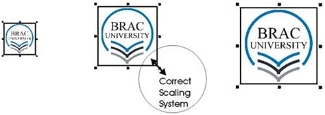 BRACU Logo | BRAC University