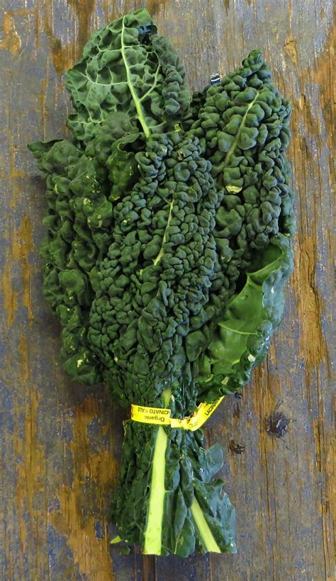 lacinato kale | Recipes from Nash's Organic Produce