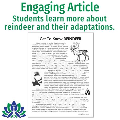 Reindeer Science Activity: Adaptations & Homologous Structures - Flying ...