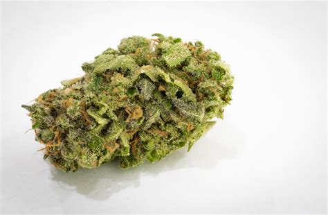 Best Sativa Strains For Your Afternoon