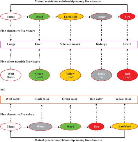 Five elements, five viscera (organs), and five colors (foods) in ...