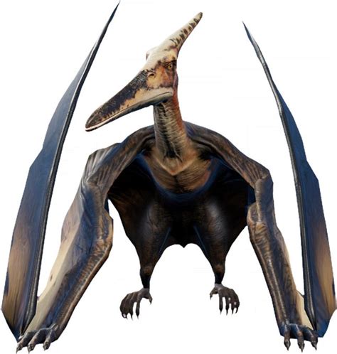 Pteranodon. | Dinosaur images, Dinosaur pictures, Jurassic world