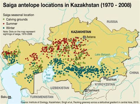 Saiga antelope locations in Kazakhstan (1970-2008) | Flickr