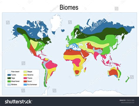 Biomes Color Map Main Biomes World Stock Vector (Royalty Free ...