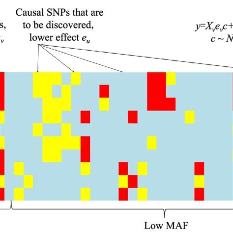 An illustration of the generation process of SNP array data. This ...