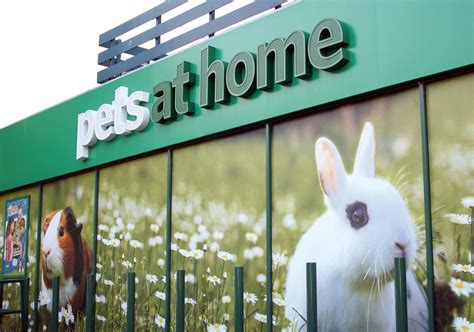 Retail Week Live: Q&A with Pets at Home boss Ian Kellett | Analysis ...