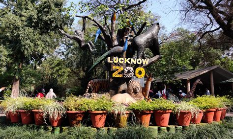 kanpur zoo in winter