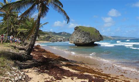 Bathsheba beach, Barbados - Ultimate guide (December 2024)