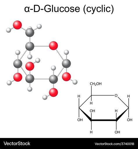 Structural chemical formula and model glucose Vector Image