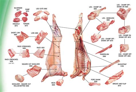 Sheep Cuts Of Meat Chart - Lamb Cuts & Cooking Methods | for the love ...