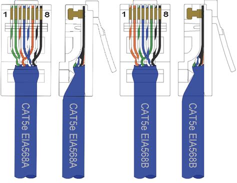 Cat 5 Cable Connector Wiring Diagram Cat5 Keystone Wiring Diagram ...